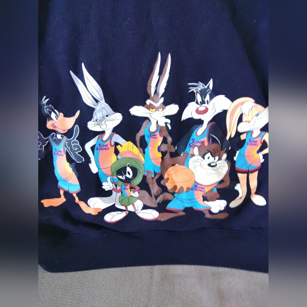 Space jam hoodie